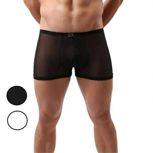 Black sheer mesh boxer shorts front — DomiGe transparent men's underwear	