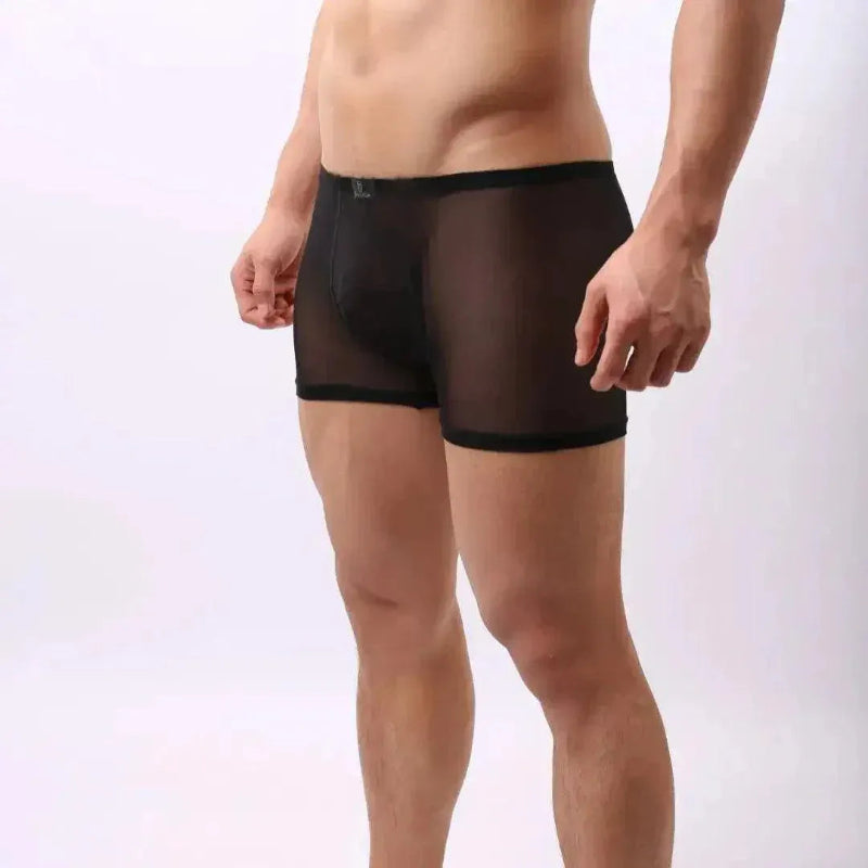 Black sheer mesh boxer shorts side — breathable see-through fabric	