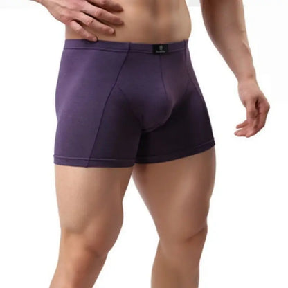 DomiGe Boxer Shorts DomiGe Eco-Friendly Men's Boxer Shorts — Up to 4XL
