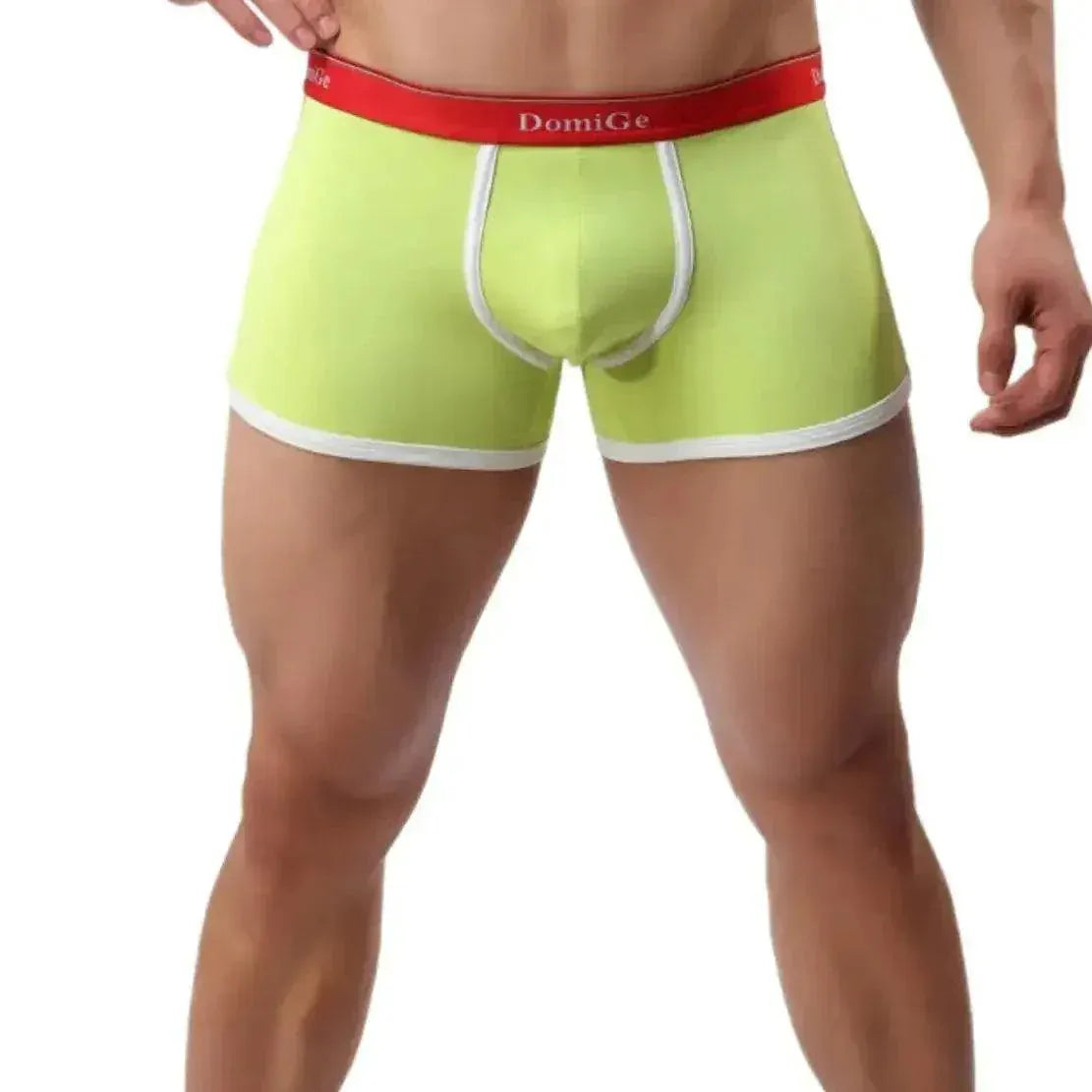 DomiGe DomiGe Boxer Briefs with Supportive U Pouch Male Underwear for Men