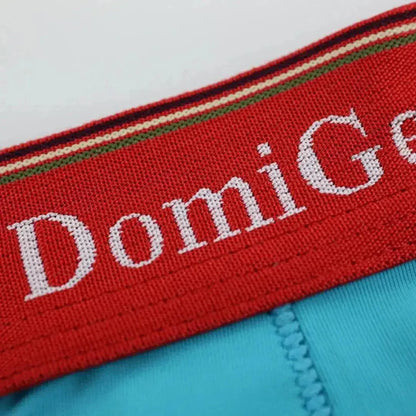DomiGe DomiGe Boxer Briefs with Supportive U Pouch Male Underwear for Men