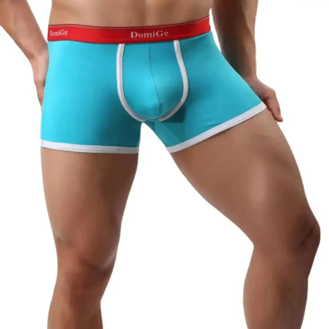 DomiGe DomiGe Boxer Briefs with Supportive U Pouch Male Underwear for Men