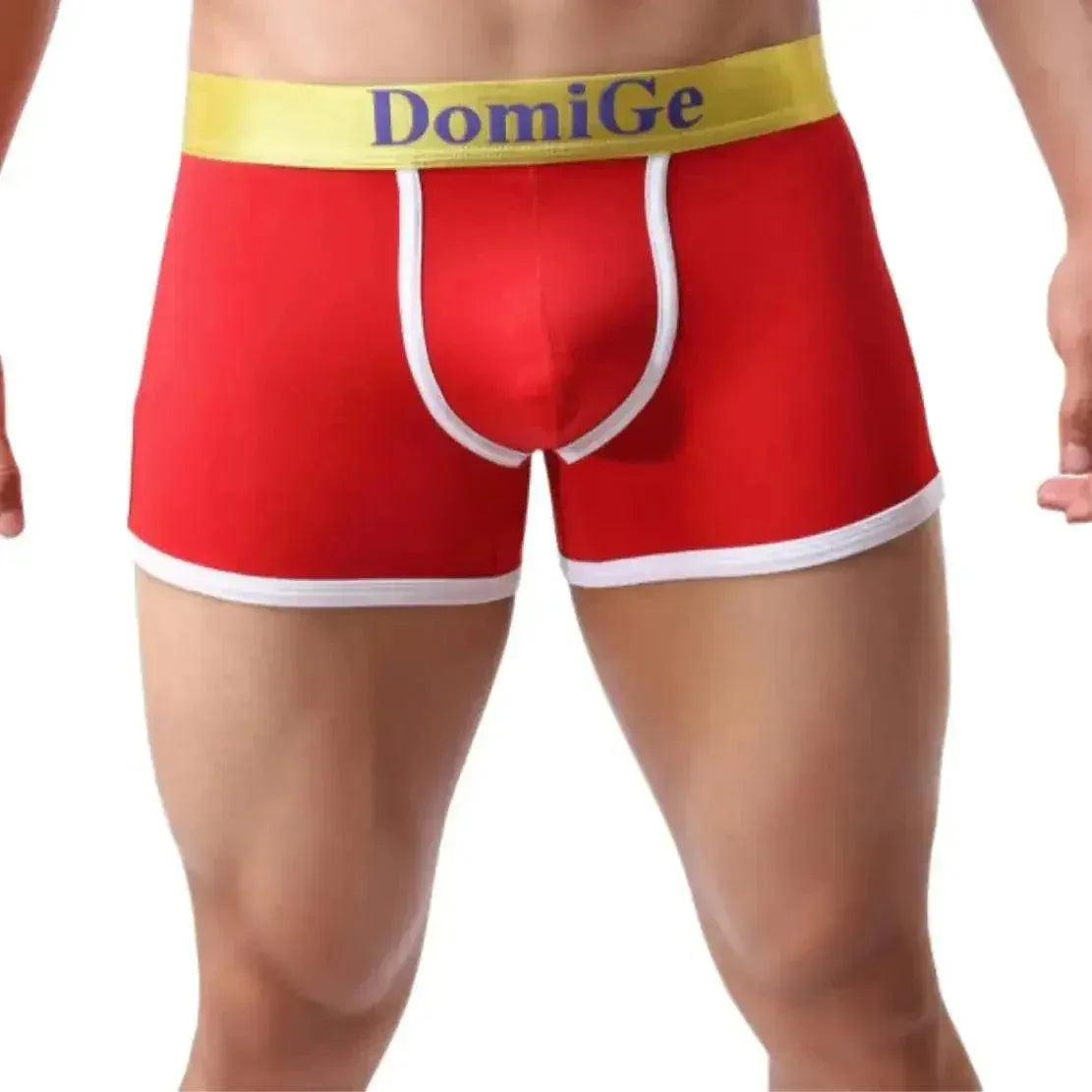 DomiGe DomiGe Boxer Briefs with Supportive U Pouch Male Underwear for Men