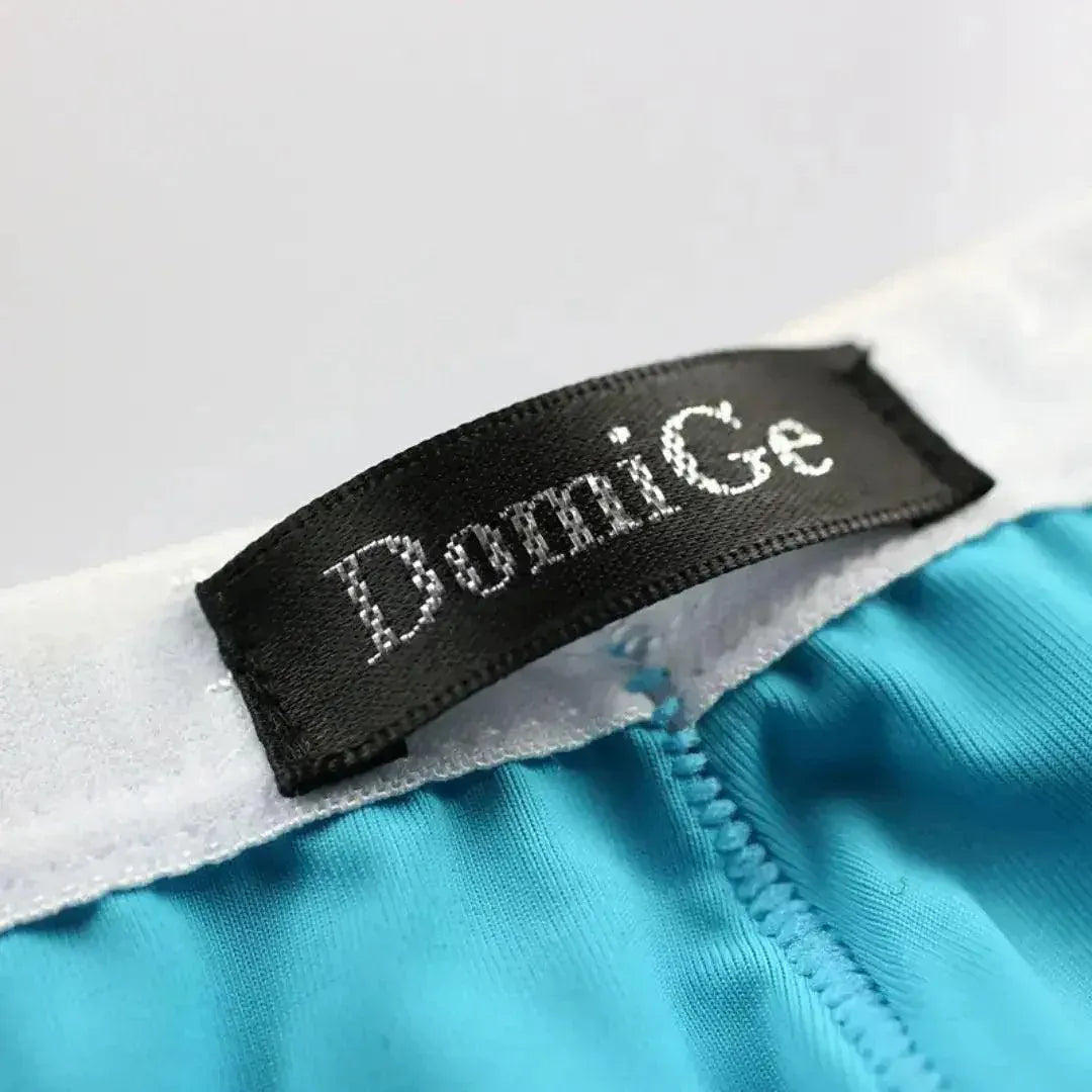 DomiGe DomiGe Male Ice Silk Briefs Seamless Rear Sexy Underwear