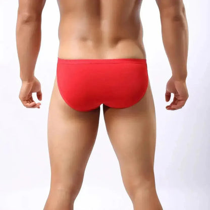 DomiGe DomiGe Male Ice Silk Briefs Seamless Rear Sexy Underwear