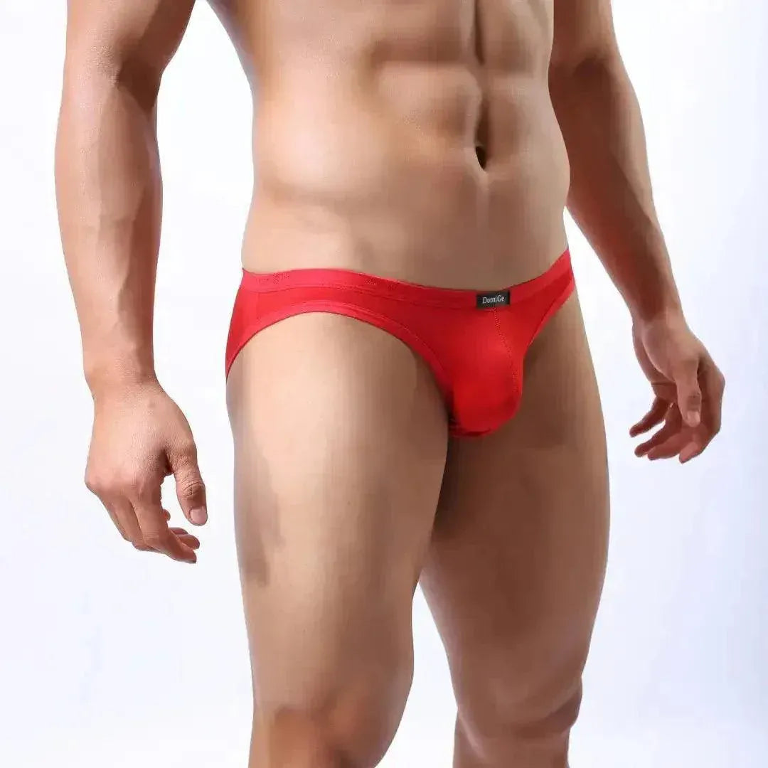 DomiGe DomiGe Male Ice Silk Briefs Seamless Rear Sexy Underwear
