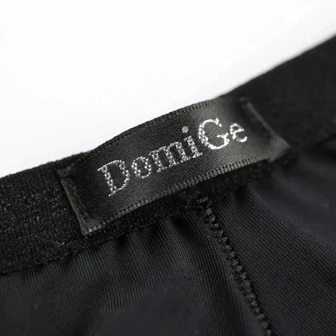 DomiGe DomiGe Male Ice Silk Briefs Seamless Rear Sexy Underwear
