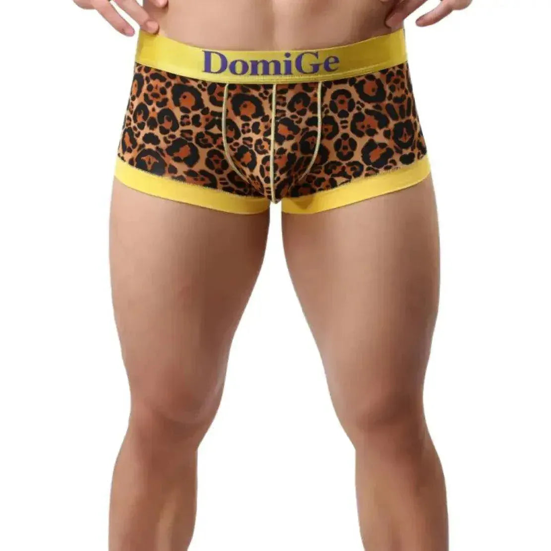 DomiGe DomiGe Male Low-Rise Trunks Sexy Leopard Undies for Men