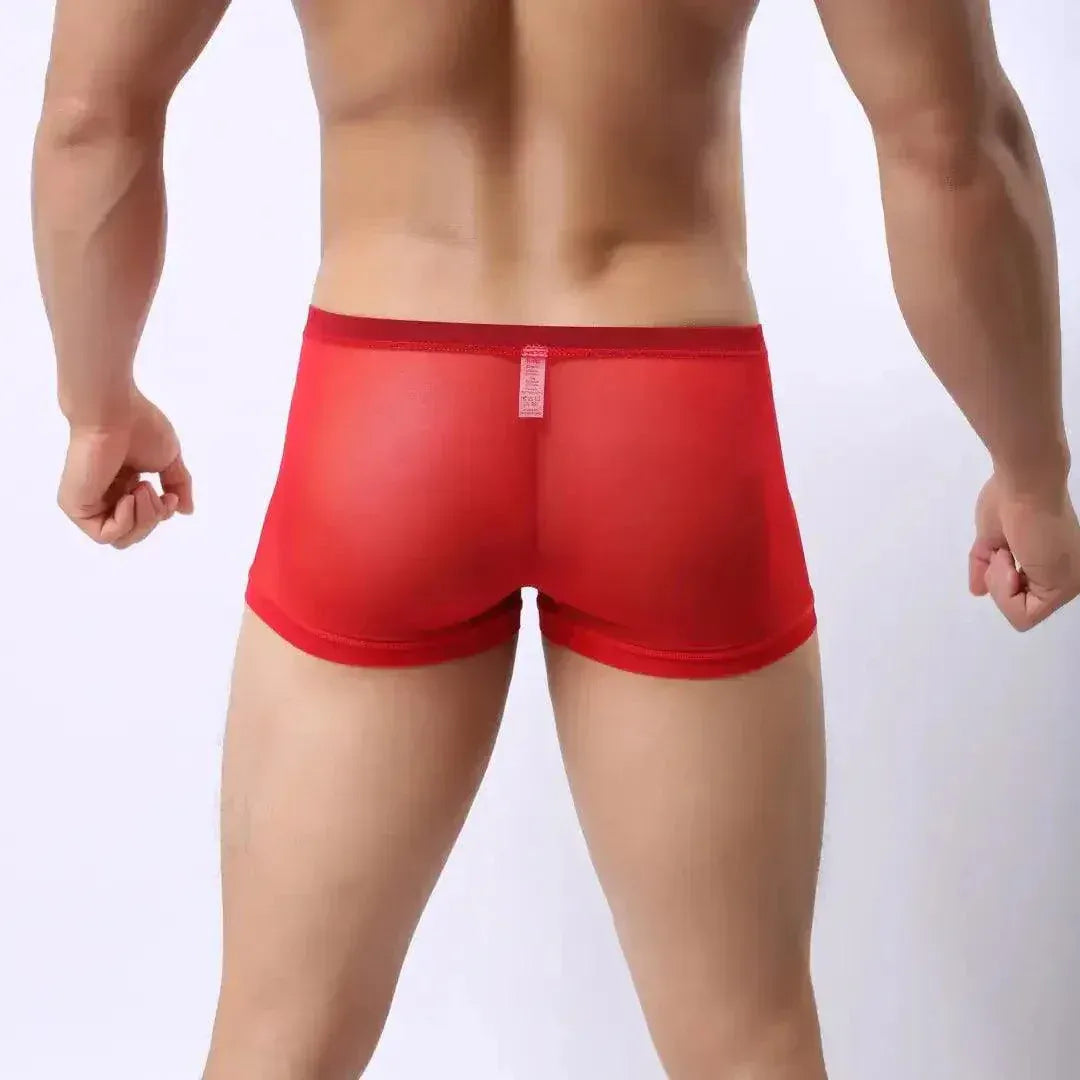 DomiGe DomiGe Male Modal Boxer Briefs Ultra-Soft Undies for Men