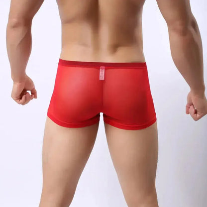 DomiGe DomiGe Male Modal Boxer Briefs Ultra-Soft Undies for Men