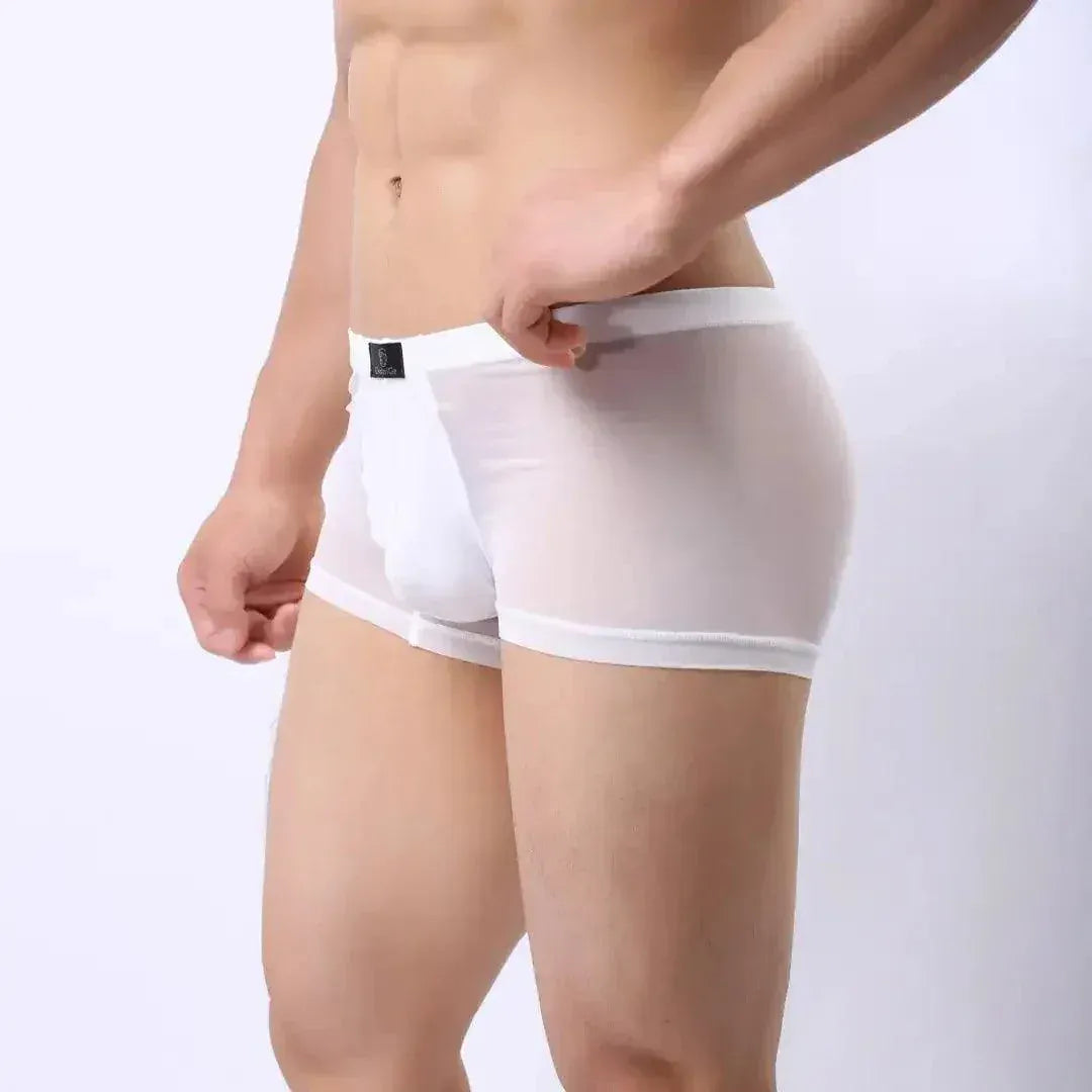 DomiGe DomiGe Male Modal Boxer Briefs Ultra-Soft Undies for Men