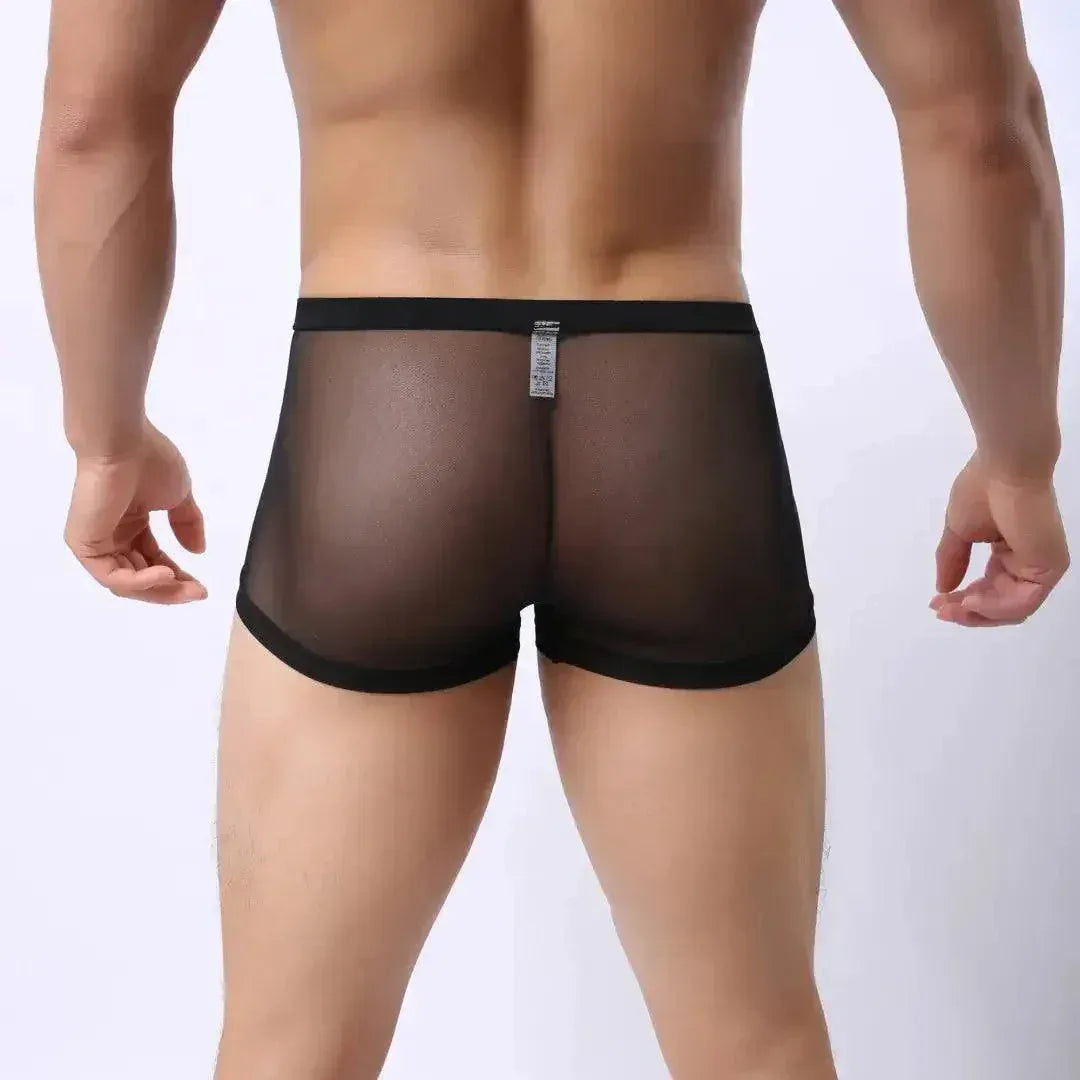 DomiGe DomiGe Male Modal Boxer Briefs Ultra-Soft Undies for Men