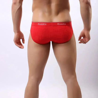 DomiGe DomiGe Men's Bamboo Fiber Briefs Foral Letter Print Pouch Undies for Men
