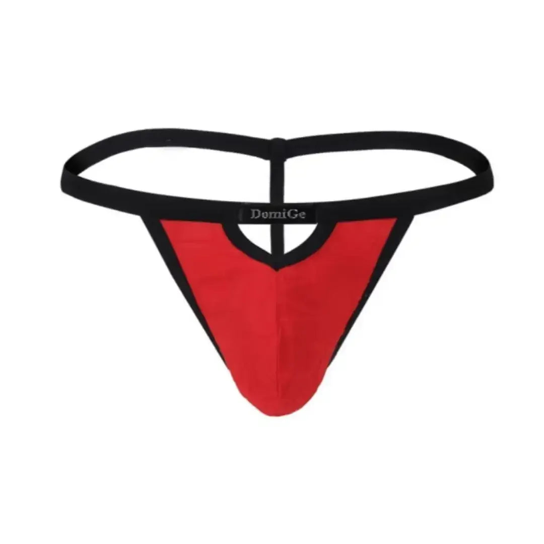 DomiGe DomiGe Men's Bamboo Fiber V-Cut Thong T-Back Male Underwear