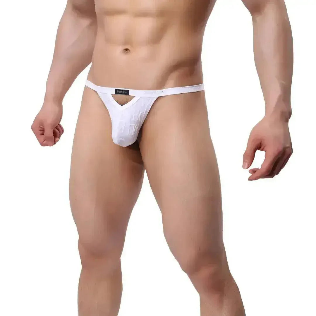DomiGe DomiGe Men's Bamboo Fiber V-Cut Thong T-Back Male Underwear