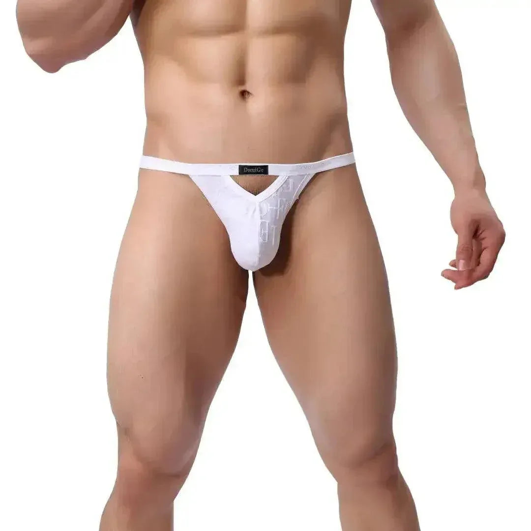 DomiGe DomiGe Men's Bamboo Fiber V-Cut Thong T-Back Male Underwear