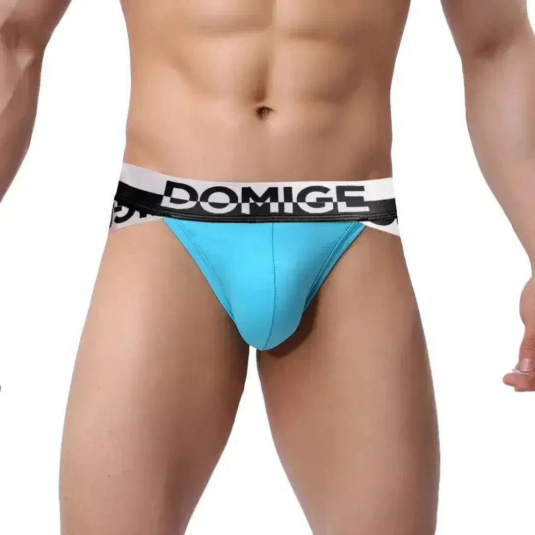 DomiGe DomiGe Men's Briefs Silver Logo Waistband: Comfort and Style Male Underwear