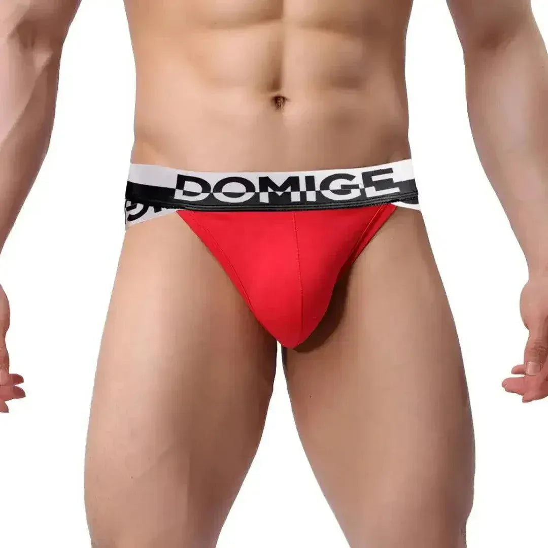 DomiGe DomiGe Men's Briefs Silver Logo Waistband: Comfort and Style Male Underwear