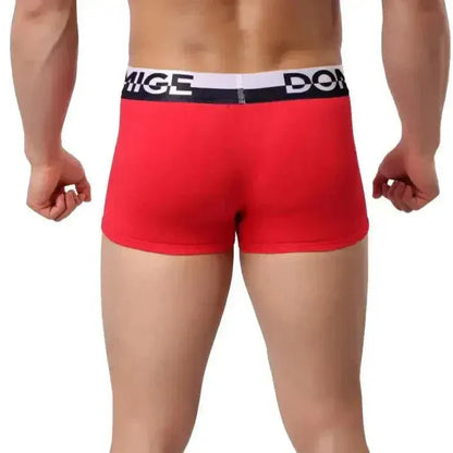 DomiGe DomiGe Men's Cotton Boxer Briefs Shell Male Underwear