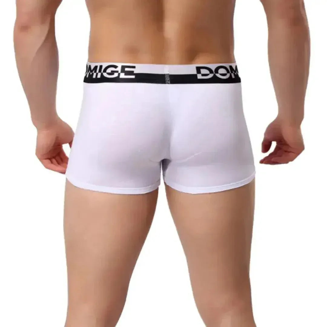 DomiGe DomiGe Men's Cotton Boxer Briefs Shell Male Underwear
