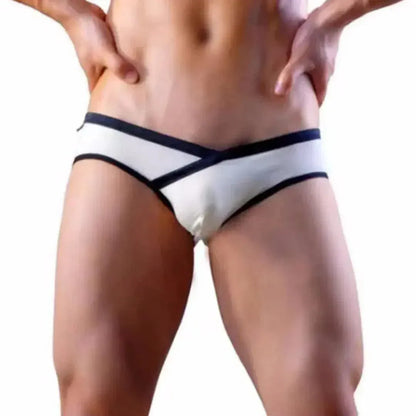DomiGe DomiGe Men's Cotton Lycra Briefs: V-Shaped Low-Rise Underwear for Men