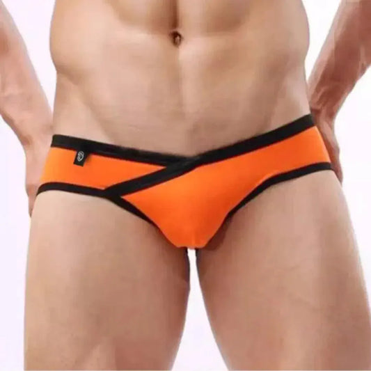 DomiGe DomiGe Men's Cotton Lycra Briefs: V-Shaped Low-Rise Underwear for Men