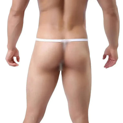 DomiGe DomiGe Men's Ice Silk Low-Rise Thong T-Back