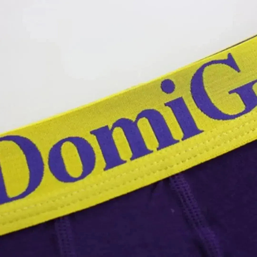 DomiGe DomiGe Men's Low-Rise Trunks: Contrast Logo Waistband Trunks