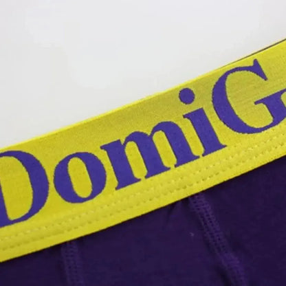 DomiGe DomiGe Men's Low-Rise Trunks: Contrast Logo Waistband Trunks