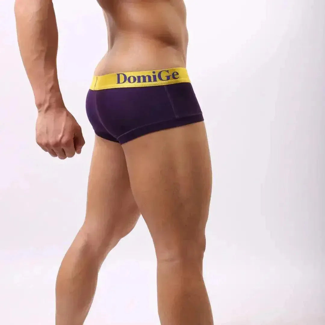 DomiGe DomiGe Men's Low-Rise Trunks: Contrast Logo Waistband Trunks