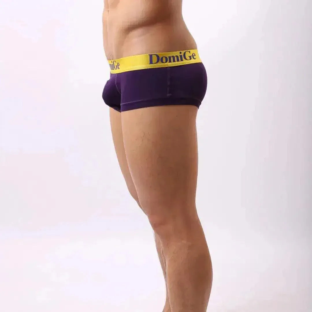 DomiGe DomiGe Men's Low-Rise Trunks: Contrast Logo Waistband Trunks