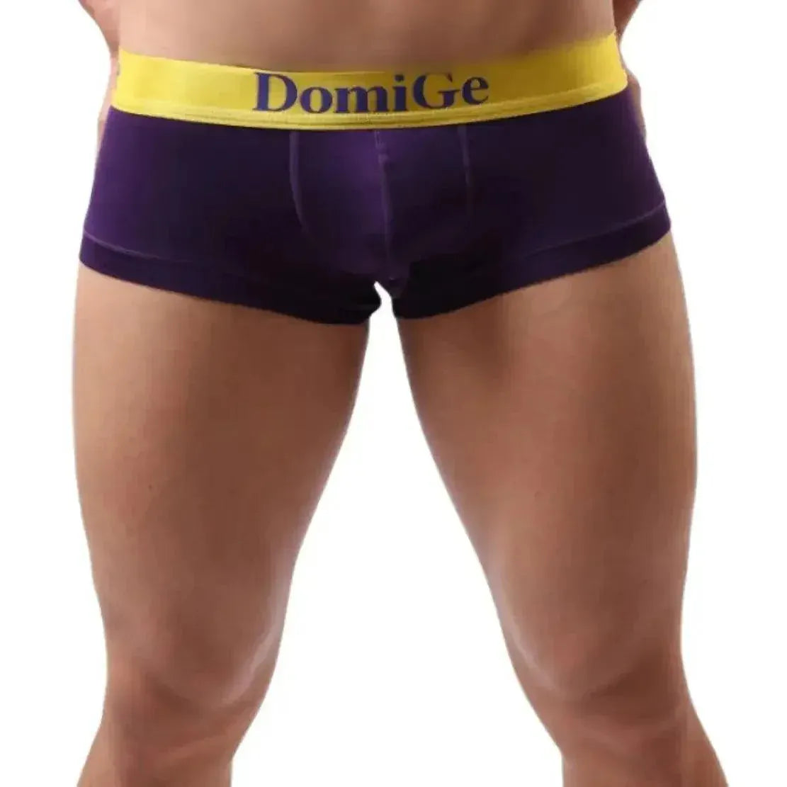 DomiGe DomiGe Men's Low-Rise Trunks: Contrast Logo Waistband Trunks