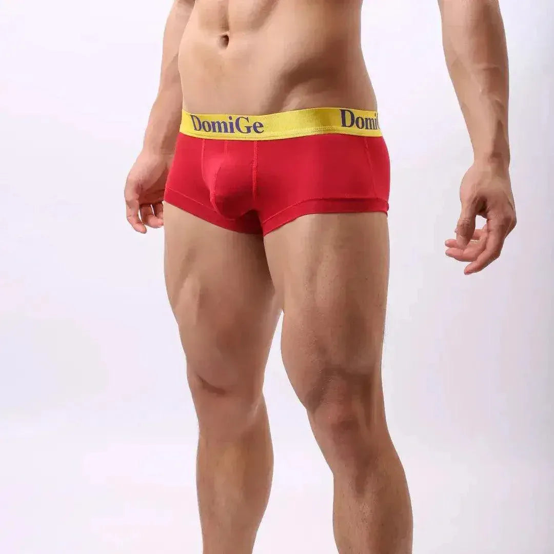 DomiGe DomiGe Men's Low-Rise Trunks: Contrast Logo Waistband Trunks