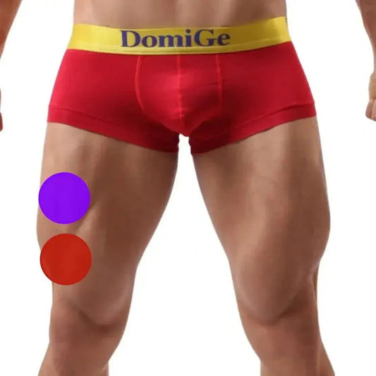 DomiGe DomiGe Men's Low-Rise Trunks: Contrast Logo Waistband Trunks