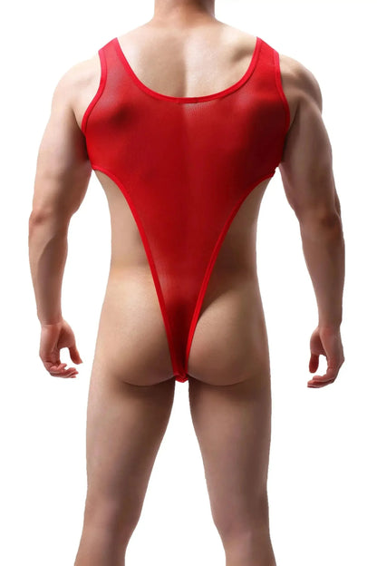 DomiGe DomiGe Men's Mesh Bodysuit Thong Transparent Sexy Underwear