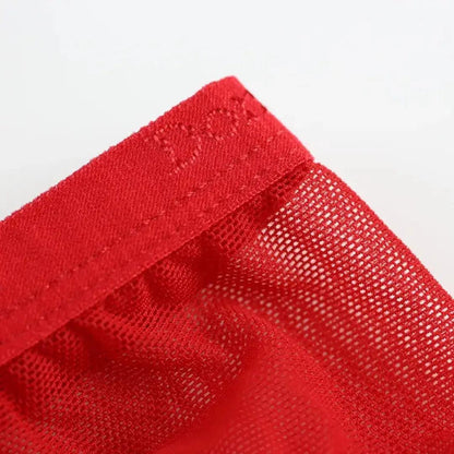 DomiGe DomiGe Men's Mesh Brief Undies for Men Contoured Pouch Underwear