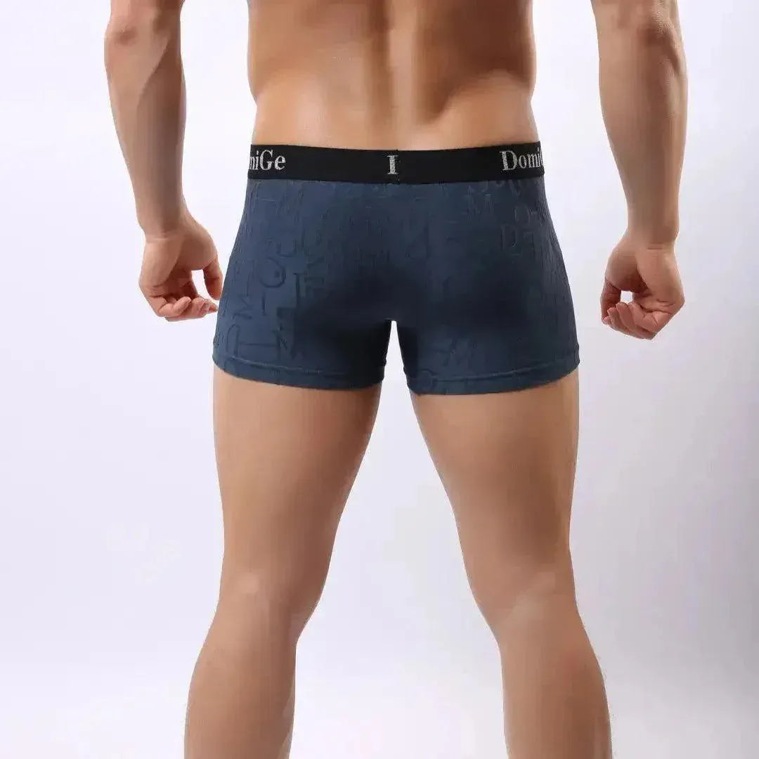 DomiGe DomiGe Men's Mid-Rise Boxer Briefs Bamboo Undies for Men