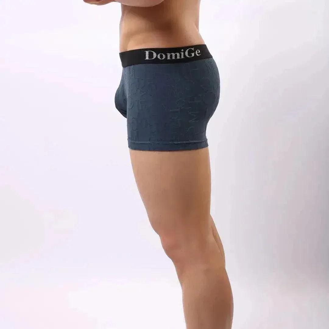DomiGe DomiGe Men's Mid-Rise Boxer Briefs Bamboo Undies for Men