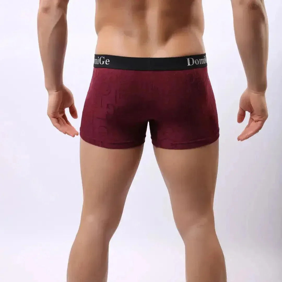 DomiGe DomiGe Men's Mid-Rise Boxer Briefs Bamboo Undies for Men