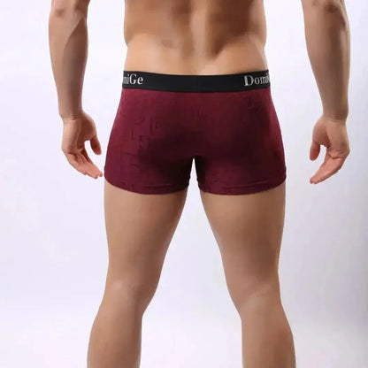 DomiGe DomiGe Men's Mid-Rise Boxer Briefs Bamboo Undies for Men