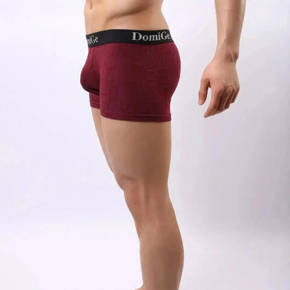 DomiGe DomiGe Men's Mid-Rise Boxer Briefs Bamboo Undies for Men
