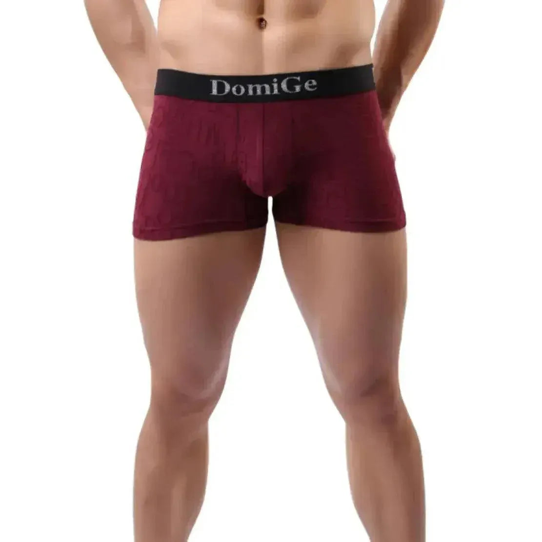 DomiGe DomiGe Men's Mid-Rise Boxer Briefs Bamboo Undies for Men