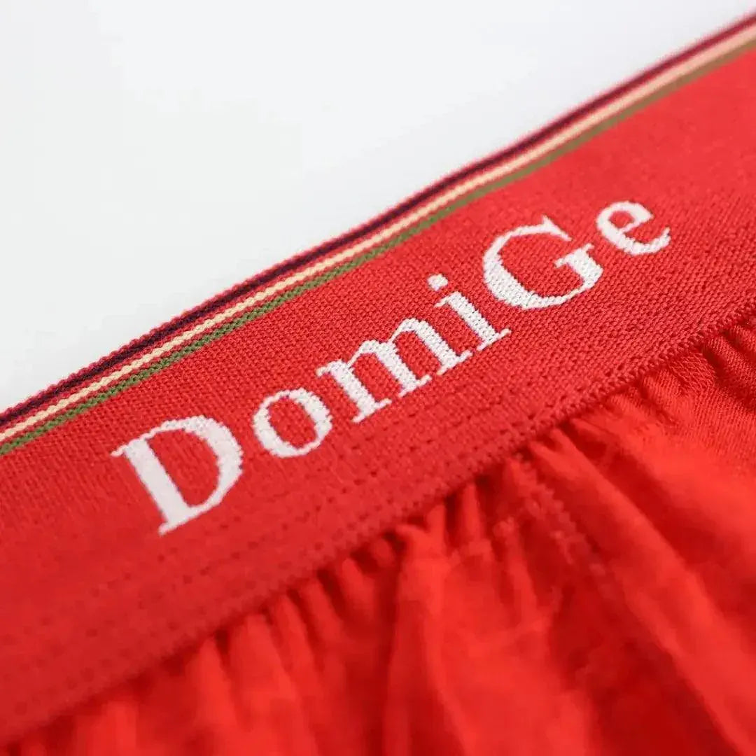 DomiGe DomiGe Men's Mid-Rise Boxer Briefs Bamboo Undies for Men