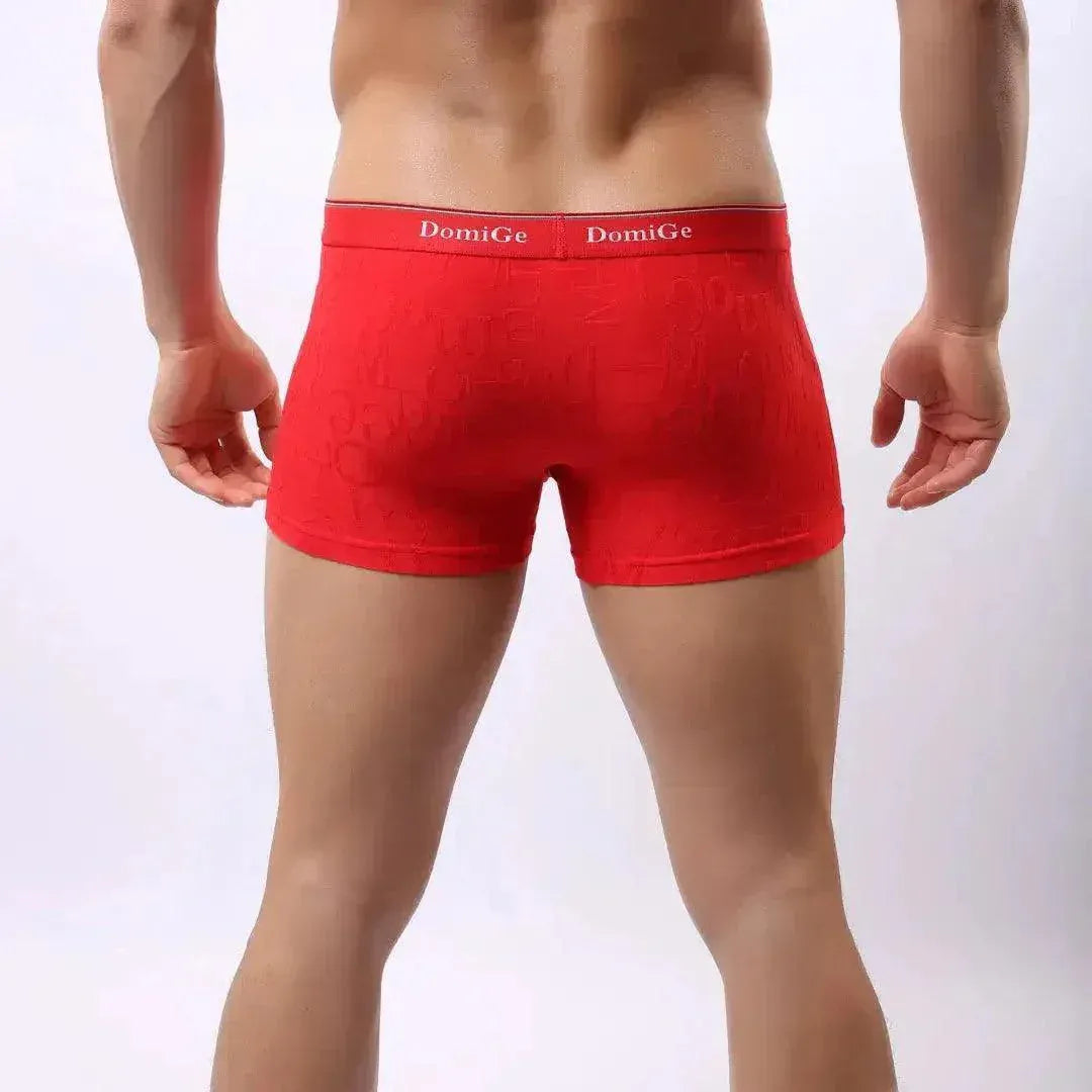 DomiGe DomiGe Men's Mid-Rise Boxer Briefs Bamboo Undies for Men