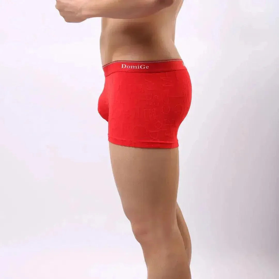 DomiGe DomiGe Men's Mid-Rise Boxer Briefs Bamboo Undies for Men