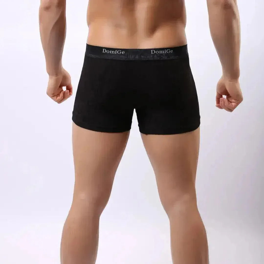 DomiGe DomiGe Men's Mid-Rise Boxer Briefs Bamboo Undies for Men