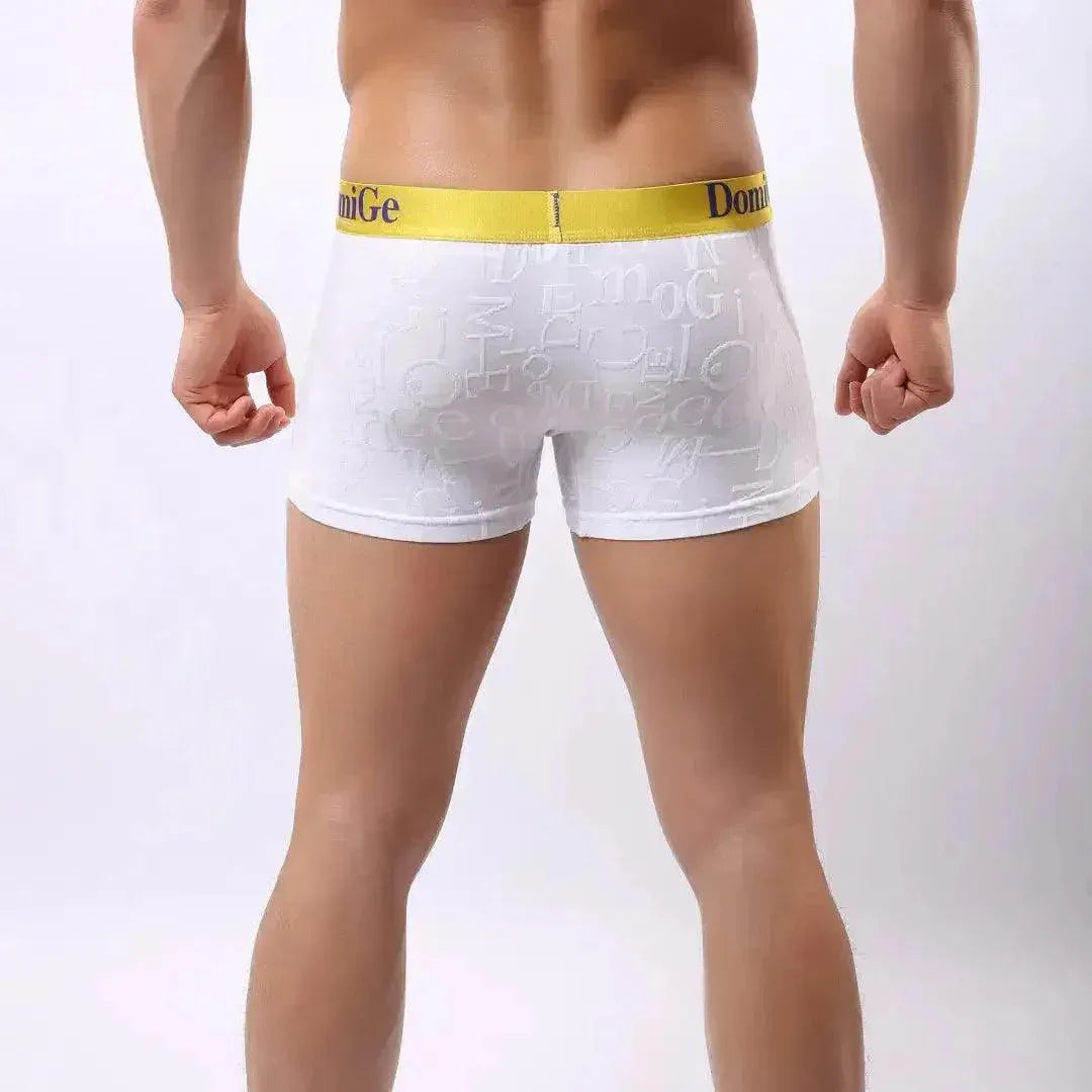 DomiGe DomiGe Men's Mid-Rise Boxer Briefs Bamboo Undies for Men