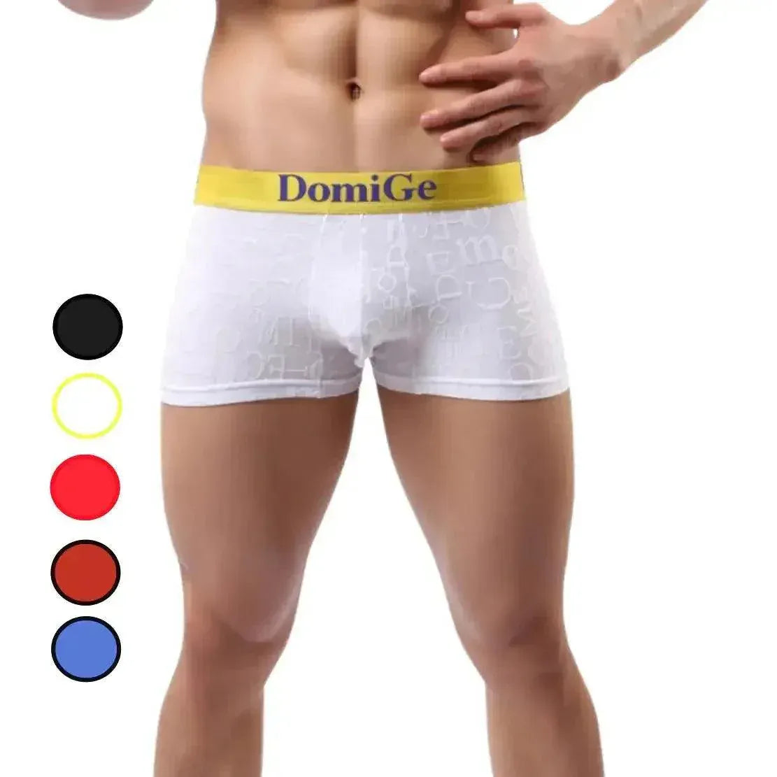 DomiGe DomiGe Men's Mid-Rise Boxer Briefs Bamboo Undies for Men