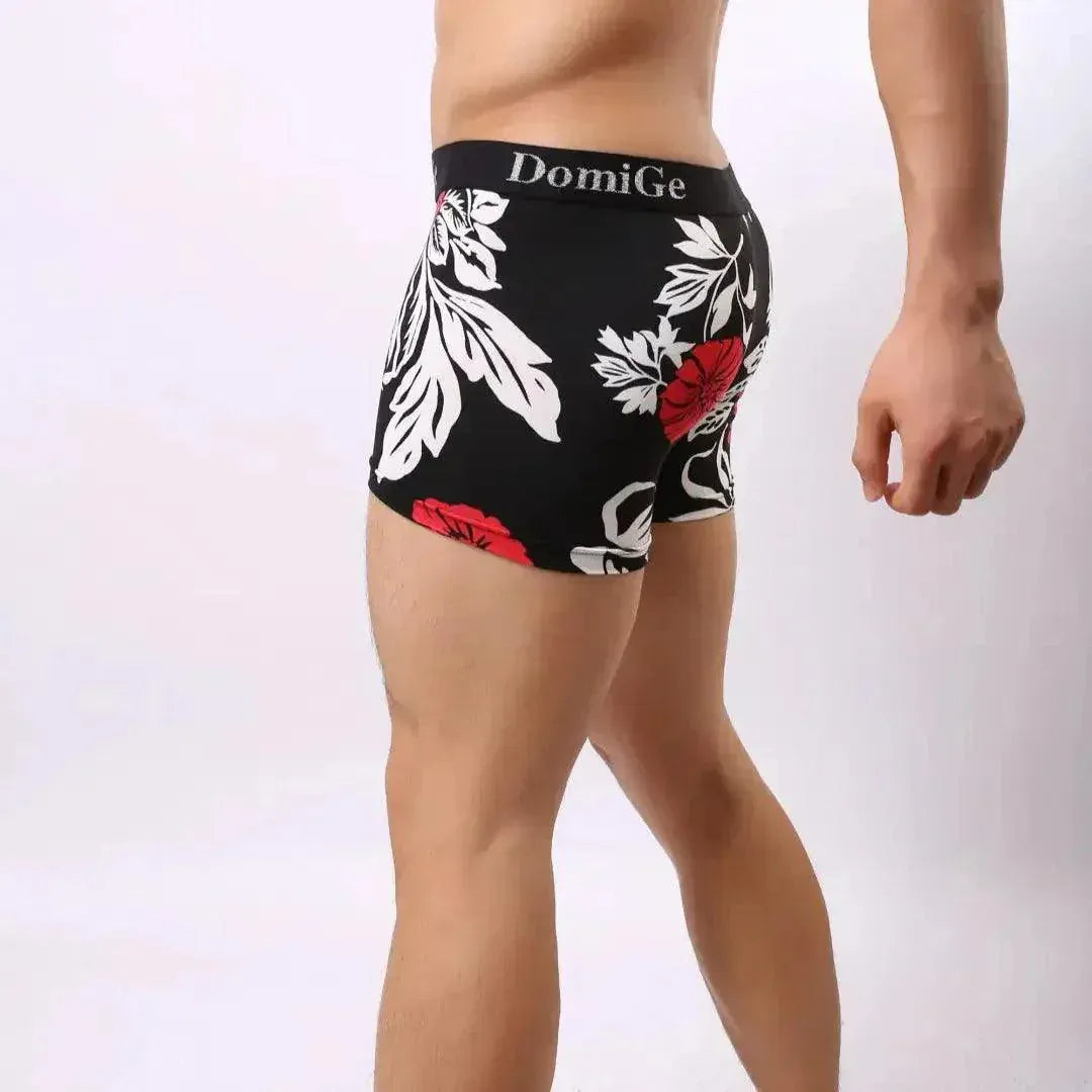 DomiGe DomiGe Men's Mid-Rise Boxer Silver Logo Panties for Men