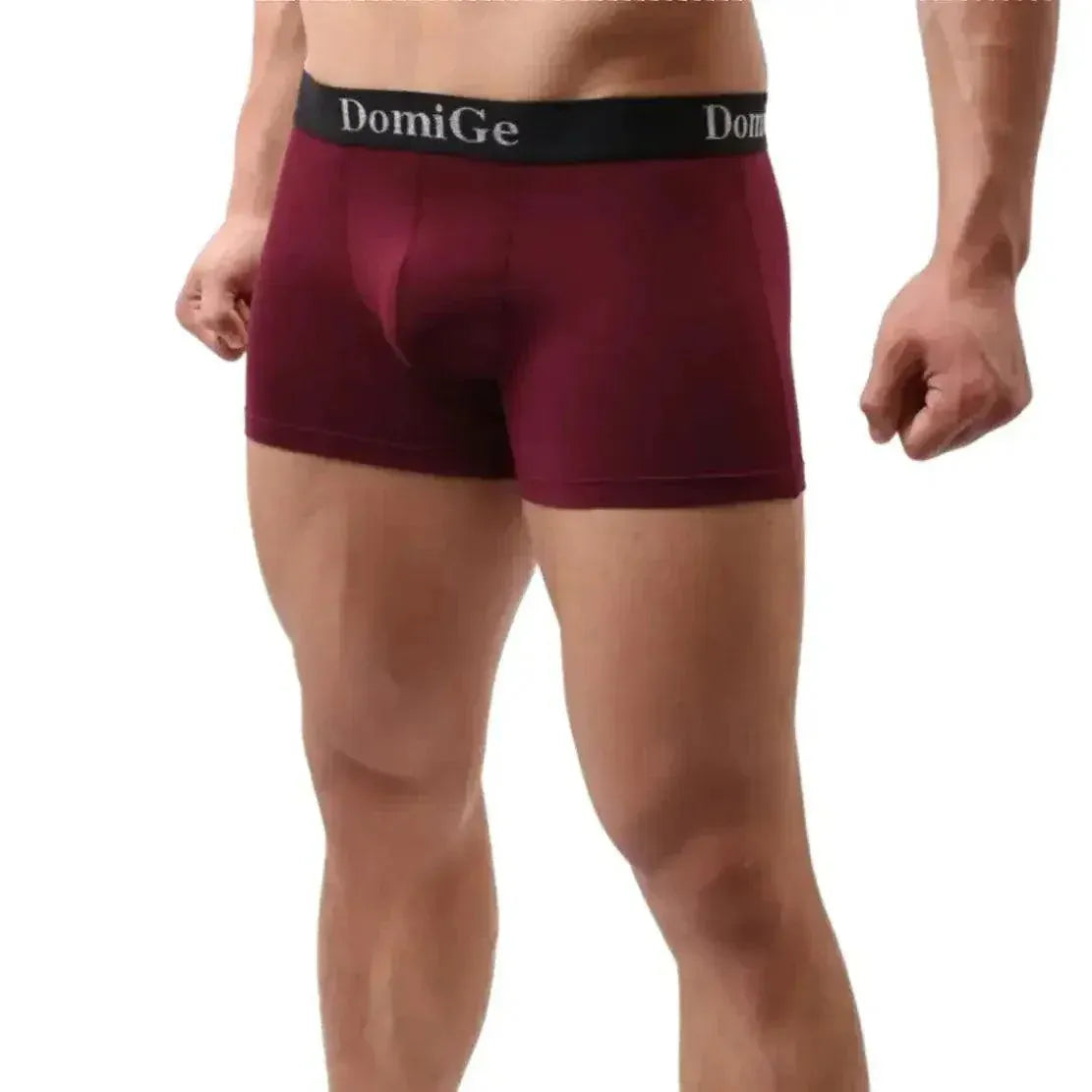 DomiGe DomiGe Men's Mid-Rise Jade Silk Male Boxers Shorts